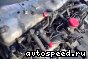 ��������� Toyota 2H: ���� �7