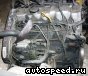 ��������� Hyundai D4BH: ���� �8