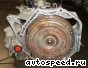 ���� Honda Accord (CM), Pilot, BAYA, MAYA: ���� �1
