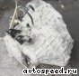���� Toyota Nadia (SXN10), a: ���� �5