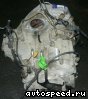 ���� Honda S-MX (RH1): ���� �5