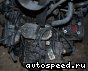 ���� Volkswagen (VW) Passat (CLK, DKS): ���� �1