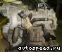 ���� Mazda Premacy, 5 (CREW), LF-DE: ���� �2