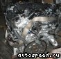 ��������� Infiniti VQ37VHR: ���� �1