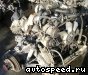 ��������� Isuzu 4JG2-T: ���� �5