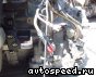���� Toyota Alphard (MNH10), U140E: ���� �5