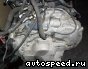���� Opel Vectra B (X25XE): ���� �3