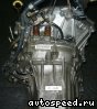 ���� Honda Inspire (UA1): ���� �3