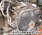  Alfa Romeo AR 16202:  2