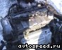 ��������� Mazda FP-DE (CP): ���� �3