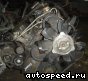 ��������� Jeep AMC 242: ���� �1