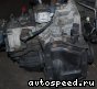���� Volkswagen (VW) Passat, Vento, Golf (CFH): ���� �4