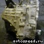 ���� Toyota Nadia (SXN10), u: ���� �2