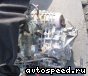 ���� Toyota Alphard (MNH10), U151E: ���� �1