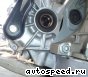 ���� Volkswagen (VW) Golf Plus, Touran (HFX, HTQ, JTW): ���� �5