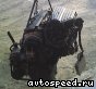 ��������� Honda D17A (EU3): ���� �2