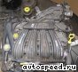Двигатель Chrysler EDZ: фото №1