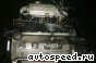 ��������� Toyota 5E-FE (EE103): ���� �1