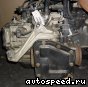 ���� Volkswagen (VW) Passat  (DNS, DLZ): ���� �4