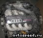  Audi AGN:  1