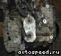 ���� Volkswagen (VW) Bora, New Beetle, Golf, Jetta (FDH): ���� �9