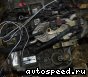 ���� Peugeot 406 (RFV): ���� �11