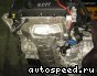 ��������� Mini N16B16A: ���� �5