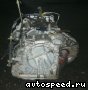 ���� Toyota Probox, Succeed (NCP50V): ���� �1