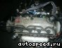 ��������� Honda D13B (Logo): ���� �7