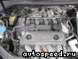 ��������� Volkswagen (VW) BLX, BLY, BVX (4WD): ���� �1