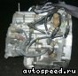 ���� Honda Accord (CF3, CF4): ���� �4