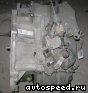 ���� Opel Vectra C, Signum Z22SE, Z22YH, JC: ���� �4