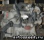���� Volkswagen (VW) Polo, Derby, Vento (FMG): ���� �5