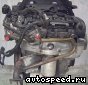 ��������� Volkswagen (VW) BLX, BLY, BVX (4WD): ���� �4