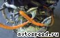 �������� Toyota Estima (AHR20W): ���� �1