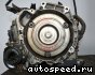 ���� Volkswagen (VW) Polo (LWO): ���� �1