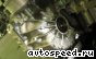 ���� Volkswagen (VW) Golf Plus, Touran (HLP): ���� �2