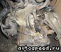 ���� Volkswagen (VW) Passat  (DNS, DLZ): ���� �3