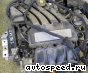 ��������� Seat CMXA, BSE, BSF, CCSA, BGU: ���� �5