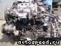 ��������� Honda G25A (UA2): ���� �3
