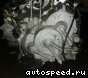 ���� Honda Edix (BE1): ���� �2