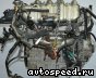 ��������� Ford 3,4l. V8 SHO: ���� �4