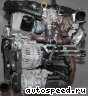 ��������� Volkswagen (VW) CAVE, CTHE: ���� �4